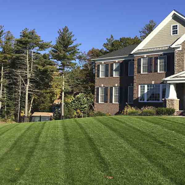lawn care grass mowing wellesley natick weston wayland ma 600px