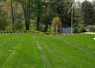 lawn installation walpole dover westwood wellesley needham 13