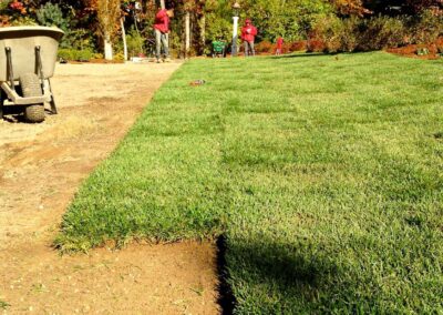 lawn installation walpole dover westwood wellesley needham 19