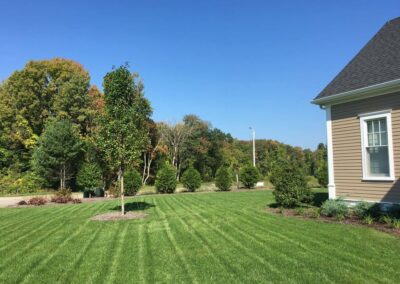 lawn installation walpole dover westwood wellesley needham 4