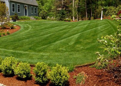 lawn installation walpole dover westwood wellesley needham 8