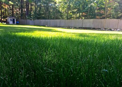 lawn installation walpole dover westwood wellesley needham 9