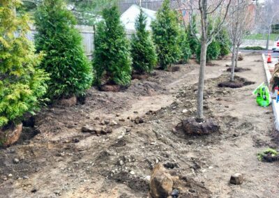 plantings landscape design walpole dover westwood wellesley needham 32