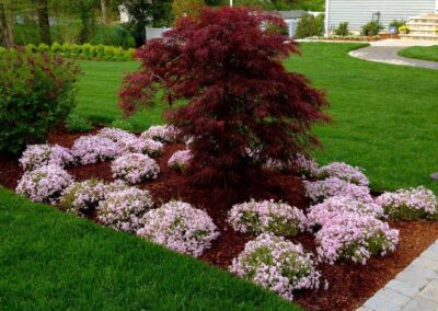 plantings landscape design walpole dover westwood wellesley needham 37