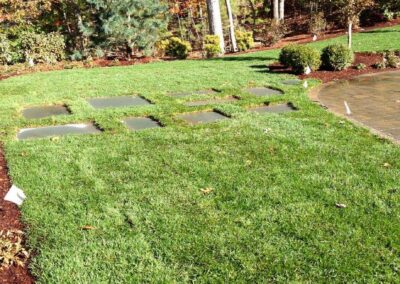 plantings landscape design walpole dover westwood wellesley needham 39