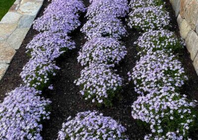 plantings landscape design walpole dover westwood wellesley needham 57