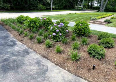 plantings landscape design walpole dover westwood wellesley needham 62