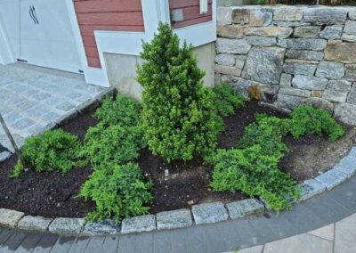 plantings landscape design walpole dover westwood wellesley needham 73