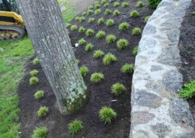 plantings landscape design walpole dover westwood wellesley needham 76