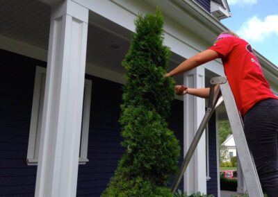 property maintenance walpole dover westwood wellesley needham 28