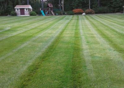 property maintenance walpole dover westwood wellesley needham 38