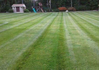 property maintenance walpole dover westwood wellesley needham 50