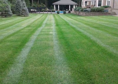 property maintenance walpole dover westwood wellesley needham 51