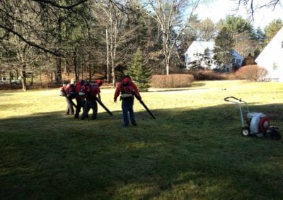 spring fall clean up wellesley natick weston wayland ma 4