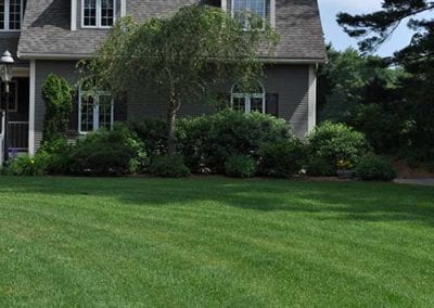 year round lawn mowing services wellesley natick weston wayland ma
